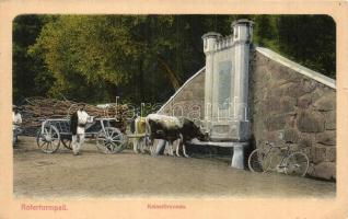 Vöröstorony, Turnu Rosu, Roterturmpass; Császár kút a szorosban / Kaiserbrunn / fountain + Ref.-Eisenbahn-Bau-Kompagnie Nr. 2. (EK)