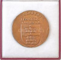 Pátzay Pál (1896-1979) DN "Budapest Főváros Tanácsa" Br emlékérem tokban, az érem hátoldala "Az 1802-ben alapított első magyar múzeum klasszicista épületének homlokzatát mutatja be" (70mm) T:2