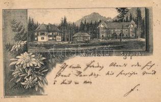 1899 Tátraszéplak, Széplak, Tatranska Polianka, Westerheim; nyaralók / villas, floral. G. Kuschel (lyukak / pinholes)