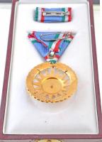 1976. "Szocialista Magyarországért Érdemrend" aranyozott, zománcozott Br kitüntetés mellsz...