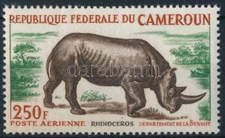 Rhinoceros, Orrszarvú