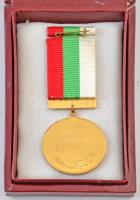 Bulgária 1981. "Bulgária 1300 éves" aranyozott fém kitüntetés szalagon, viselői igazolvánn...