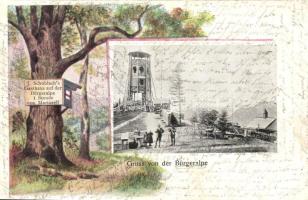 Mariazell, Bürgeralpe; J. Schublach's Gasthaus auf der Bürgeralpe / lookout tower, guest house advertisement (r)