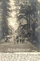 1903 Mosonmagyaróvár, Magyaróvár; Főhercegi liget, babakocsis hölgyek, photo