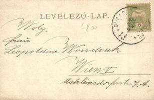 1903 Mosonmagyaróvár, Magyaróvár; Főhercegi liget, babakocsis hölgyek, photo