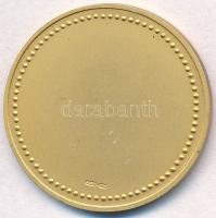 Olaszország DN "Venetiarvm Vniversitas In Domo Foscari" a Velencei Ca' Foscari Egyete...