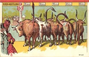 Ochsen Ausstellung / Oxen exhibition in different ages, humour,