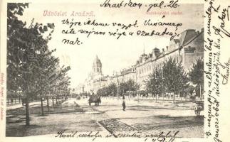 Arad, Andrássy tér, Weinberger János üzlete / square, shops (r)
