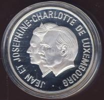 Luxemburg 1995. 25ECU Ag emlékérem T:PP