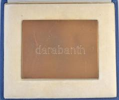 Madarassy Walter (1909-1994) 1973. "Budapest 1873-1973" Centenáriumi Br plakett eredeti dí...