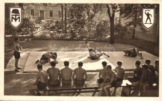 Birkózók, M. kir. 'Toldi Miklós' honvéd sporttanár és vívómesterképző inézet, Budapest, kiadja Aigner Lajos / Hungarian wrestlers