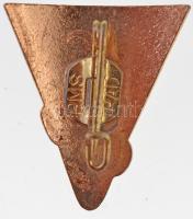 Románia DN "ROMANIA M/N Transilvania O.N.T. Carpati" zománcozott fém jelvény, "PMS AR...