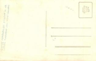 Badacsony, felfegyverzett oldalkerekes vontatóhajó és iskolahajó a Folyamőrség kötelékében, folyamőr...