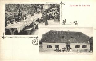 Planina, Restaurant garden with baby carriage, eating families, Art Nouveau