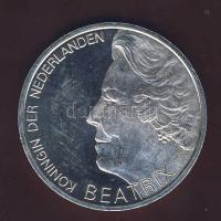 Hollandia 1995. 10G Ag "H. de Groot" T:BU