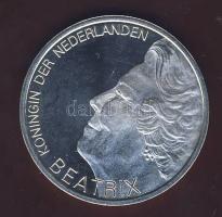 Hollandia 1995. 10G Ag "H. de Groot" T:BU