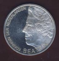 Hollandia 1995. 10G Ag "H. de Groot" T:BU