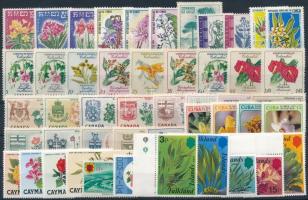 1960-1980 Flowers 48 stamps, 1960-1980 Virág motívum 48 db klf bélyeg, közte teljes sorok, ívszéli értékek stecklapon