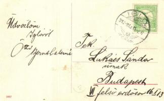 Igló, Iglau, Spisská Nová Ves; Madarász park / park