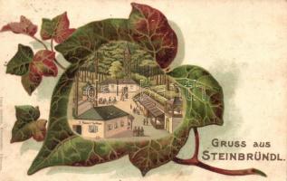 Steinbründl, J. Renners Gasthaus / guest house, leaf, Franz Schemm Kunstanstalt litho (fl)