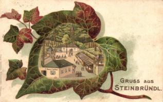 Steinbründl, J. Renner's Gasthaus / guest house, leaf, Franz Schemm Kunstanstalt litho (fl)