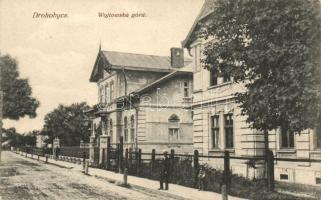 Drohobych, Drohobycz; Wojtowska góra / street view with villas