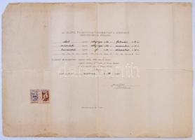 1950 Erdőmérnöki oklevél kissé meggyűrt állapotban