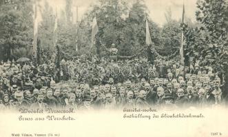 Versec, Vrsac; Erzsébet szobor leleplezése, Wettl Vilmos kiadása / unveiling ceremony of the statue