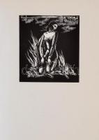 Székely népballadák. Összeállította és magyarázta: Ortutay Gyula. Buday György fametszeteivel. Másod...