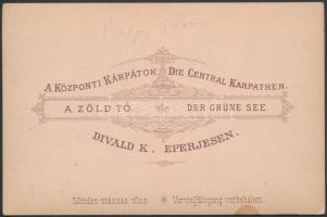 cca 1880-1890 Magas-Tátra: a Zöld-tó, keményhátú fotó Divald Károly műterméből, hátulján feliratozva...