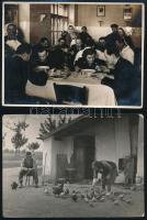 cca 1958 Tiszavölgyi József (1909-?) vintage fotói különféle témákról, többsége pecséttel jelzett, 1...