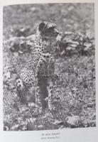 Dr. Holdas Sándor: Prémek, szőrmék, prémes állatok. Bp., 1978, Mezőgazdasági Kiadó. Kiadói kartonált...