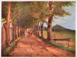 Rákóczi album. II. Rákóczi Ferenc és kurucai. A Pesti Napló előfizetőinek készült kiadás. Hornyánszk...