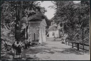 cca 1880 Károlykút és Herkulesfürdő, keményhátú fotó,   9,5x14,5 cm / Karlsbrunnen, Herkulesad photo, 9,5x14,5 cm