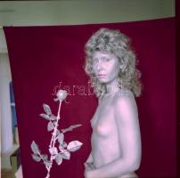 cca 1980 Szolidan erotikus felvételek negatív tétele, 13 db vintage negatív, 6x6 cm / 13 erotic phot...