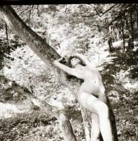 cca 1980 Szolidan erotikus felvételek negatív tétele, 13 db vintage negatív, 6x6 cm / 13 erotic phot...