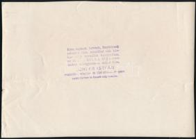 cca 1910-1915 Köhler-féle tűzoltószekér 2 db fotója,
elő- és hátoldalán pecséttel jelzett, hajtásny...