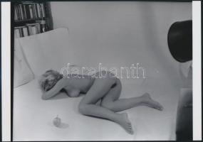 cca 1976 Kakukktojás, 4 db szolidan erotikus fénykép, vintage negatívról készült mai nagyítások, 25x...