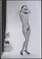 cca 1976 Kakukktojás, 4 db szolidan erotikus fénykép, vintage negatívról készült mai nagyítások, 25x...