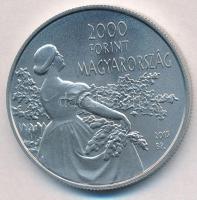 2015. 2000Ft Cu-Ni "Csók István 1865-1961" T:BU