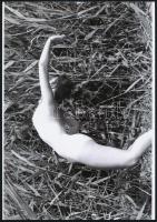 cca 1974 Nádi fészekrakó, 3 db szolidan erotikus fénykép, vintage negatívról készült mai nagyítások,...