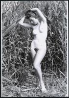 cca 1974 Nádi fészekrakó, 3 db szolidan erotikus fénykép, vintage negatívról készült mai nagyítások,...