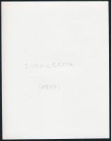 cca 1977 Iharkút és Zobákbánya, 2 db feliratozott vintage fotó feliratozva, 22x17,5 cm és 16x23 cm