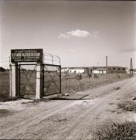 cca 1968 Kecskeméti városképek, épületek, életképek, Medgyesi László 13 db vintage negatív felvétele...