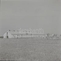 cca 1968 Kecskeméti városképek, épületek, életképek, Medgyesi László 13 db vintage negatív felvétele...