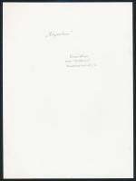 cca 1976 Vincze János (1922-1998): Záporban, feliratozott vintage fotóművészeti alkotás, 23x17 cm