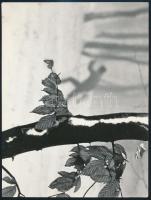 cca 1973 Gebhardt György (1910-1993): Síterepen, aláírt vintage fotóművészeti alkotás, 18x23,5 cm
