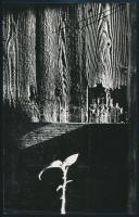 cca 1970 Rácz Endre: Élő és holt, feliratozott vintage fotóművészeti alkotás, 24x15 cm