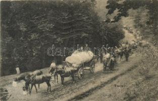 Első világháborús osztrák-magyar katonák vonulása lovasszekerekkel / WWI K.u.K. military, Austro-Hungarian army marching with horse carts (EK)