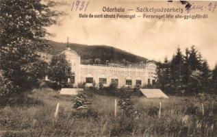 Székelyudvarhely, Odorheiu Secuiesc; Fernengel-féle sós-gyógyfürdő / spa